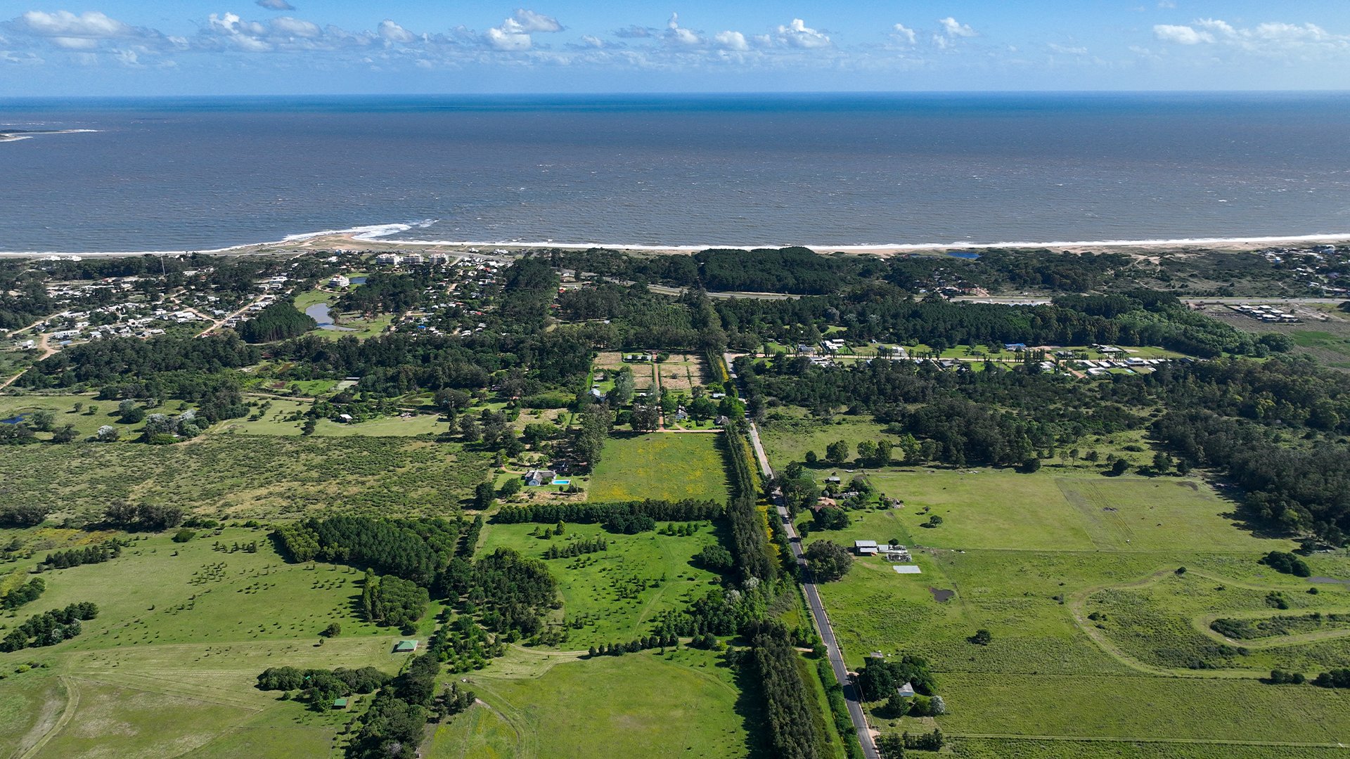 Galería 5
