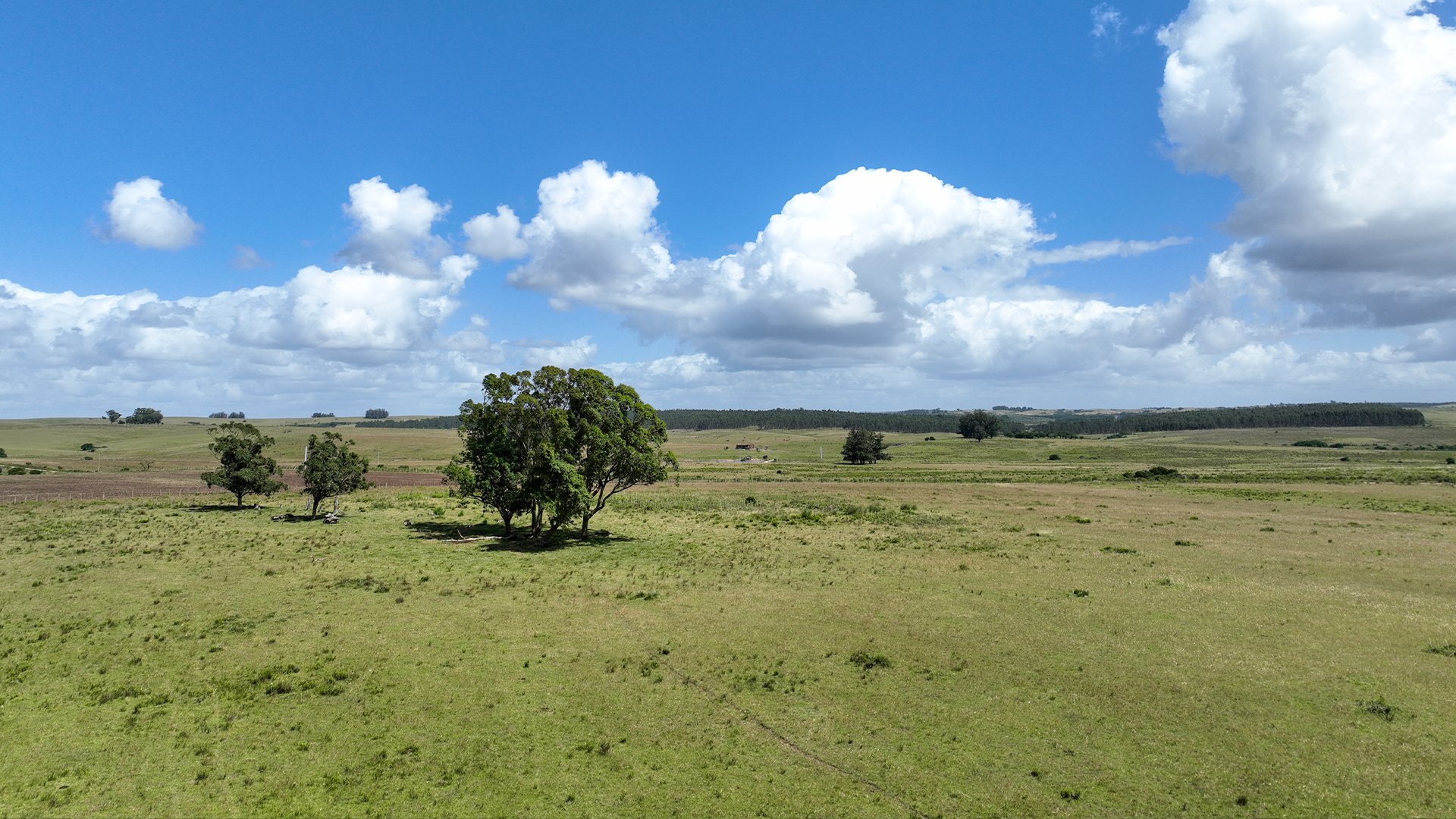 Galería 2